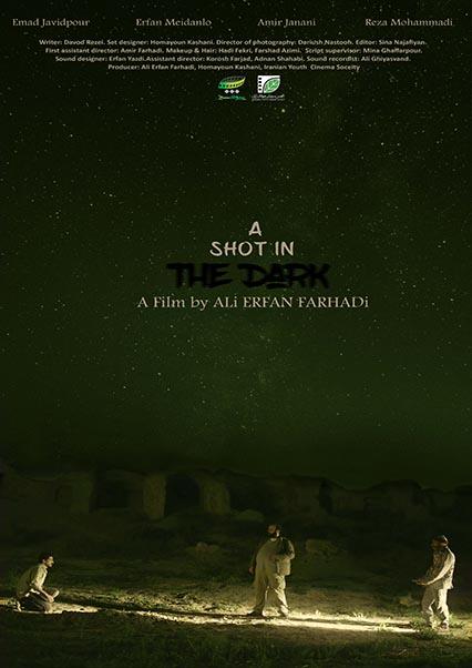 a shot in the dark-هاشور