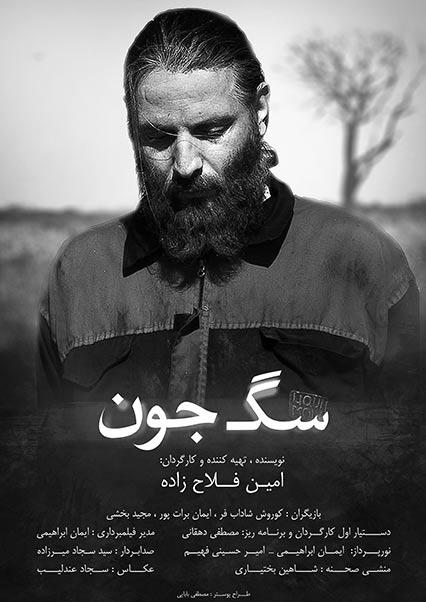 Sag jon-هاشور