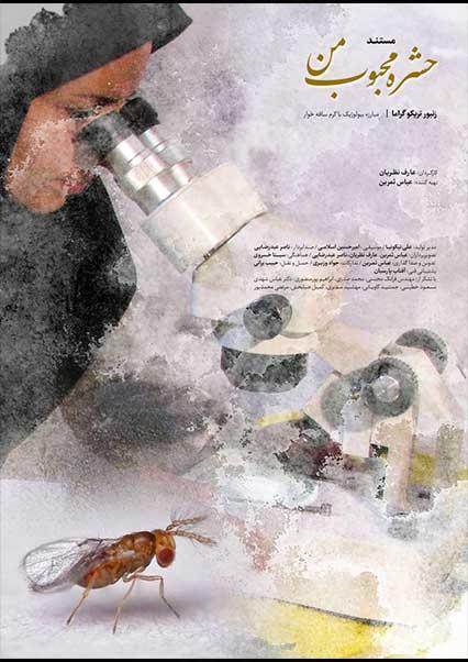 حشره محبوب من-هاشور