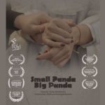 فیلم کوتاه پاندای کوچک، پاندای بزرگ – تلاش برای فاصله‌‎گرفتن از کلیشه‌‎ها