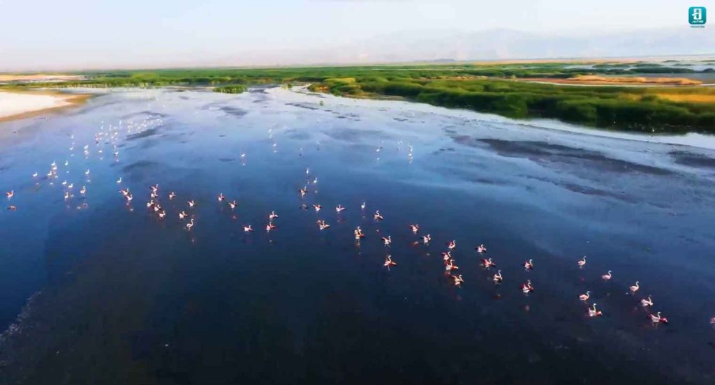 مستند فاصله ۲۸۰ درباره تالاب بختگان01