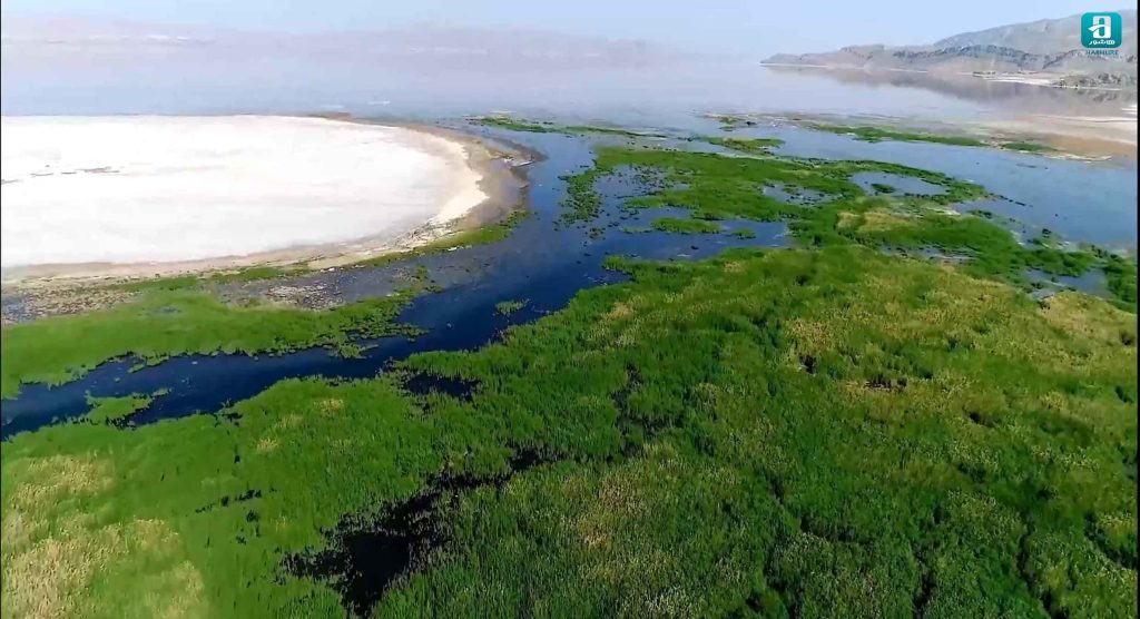 بحران تالاب بختگان در مستند فاصله ۲۸۰-05