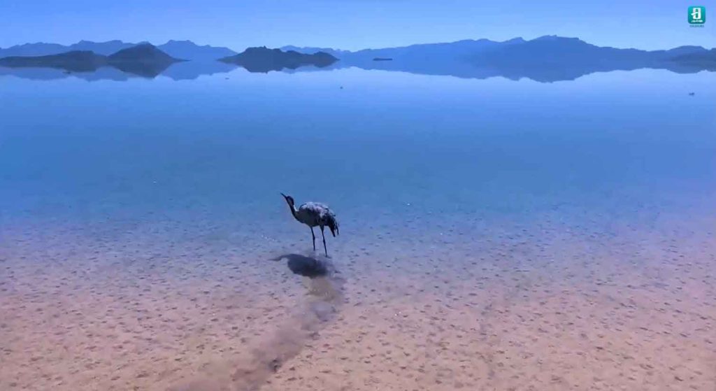 چه بر سر دومین دریاچه بزرگ ایران آمد؟