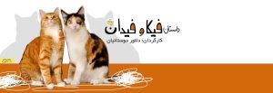 فیکا و فیدان