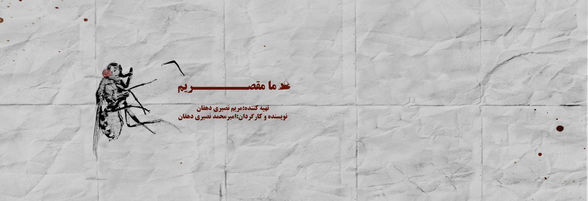 We are to blame-هاشور