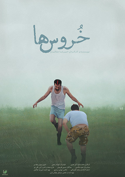 خروس ها