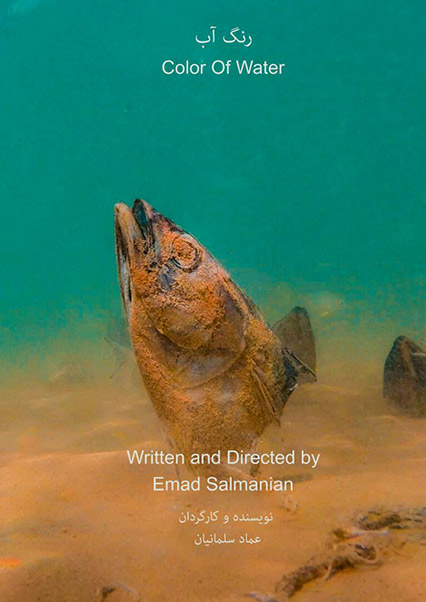 رنگ آب