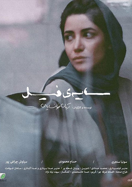 سایه فیل