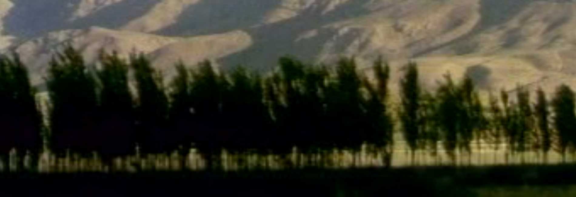 Ziarat-هاشور