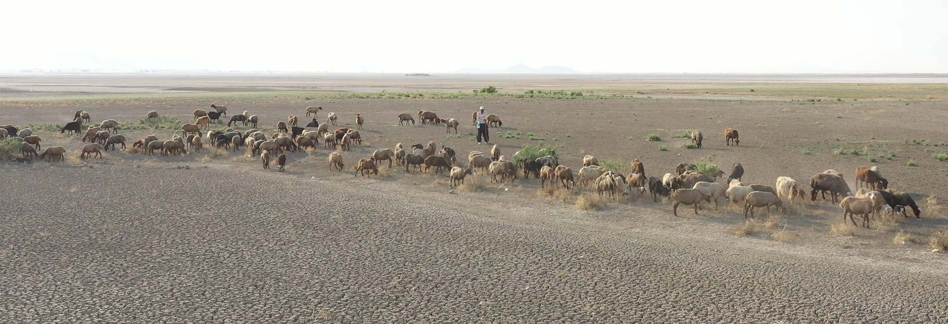 آبخیزداری در آمادای