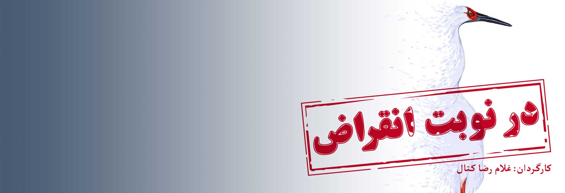 در نوبت انقراض