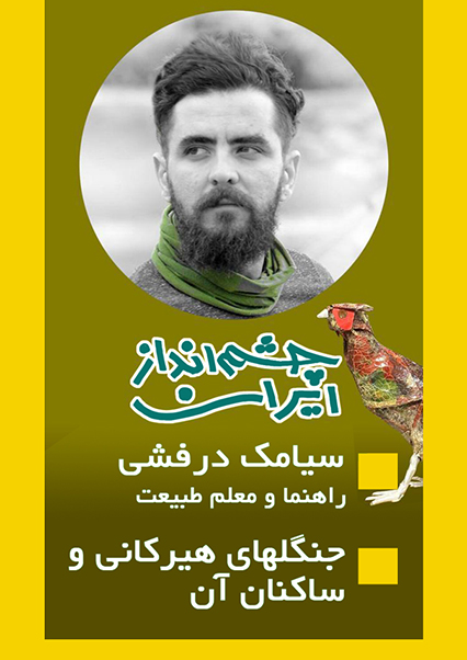 جنگل های هیرکانی و ساکنان آن