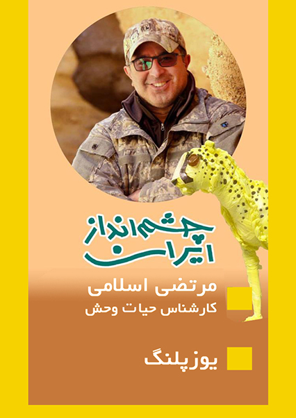 حیات وحش (یوزپلنگ)