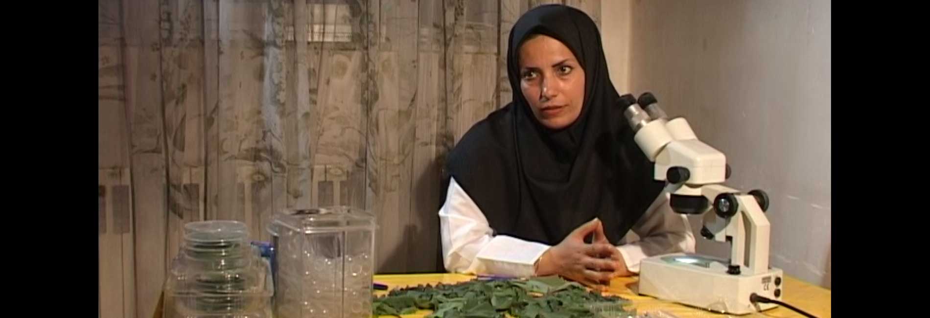 حشره محبوب من