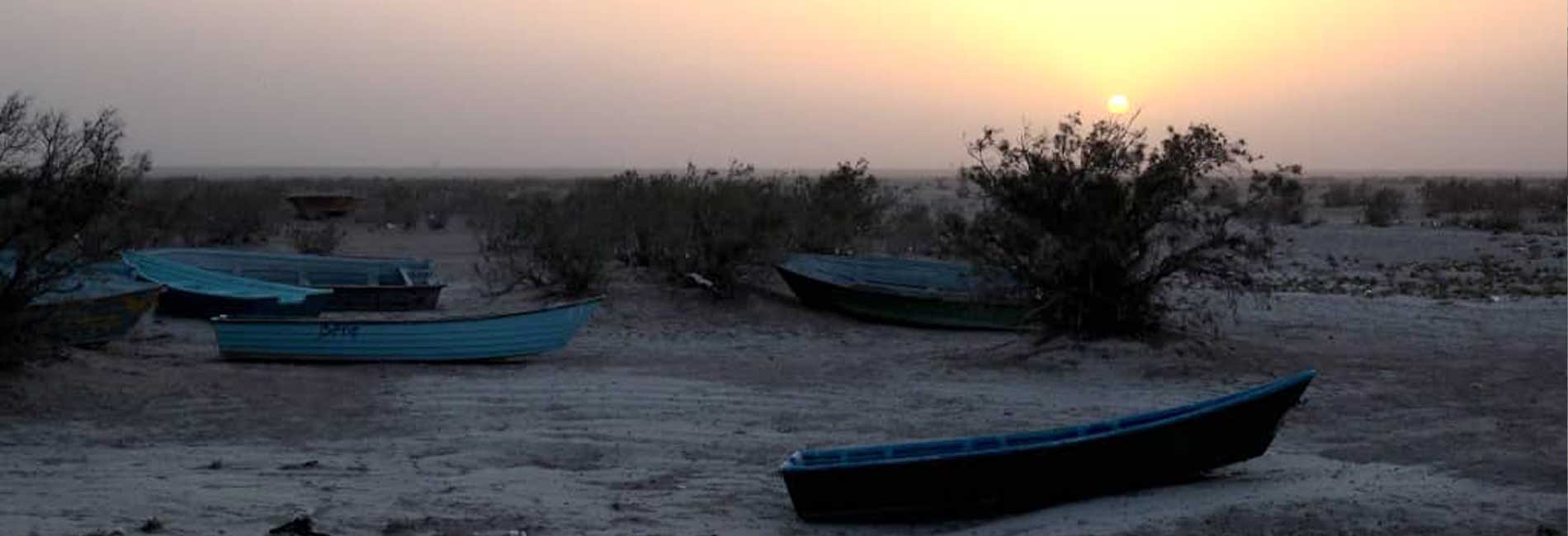 داستان سنجاقک