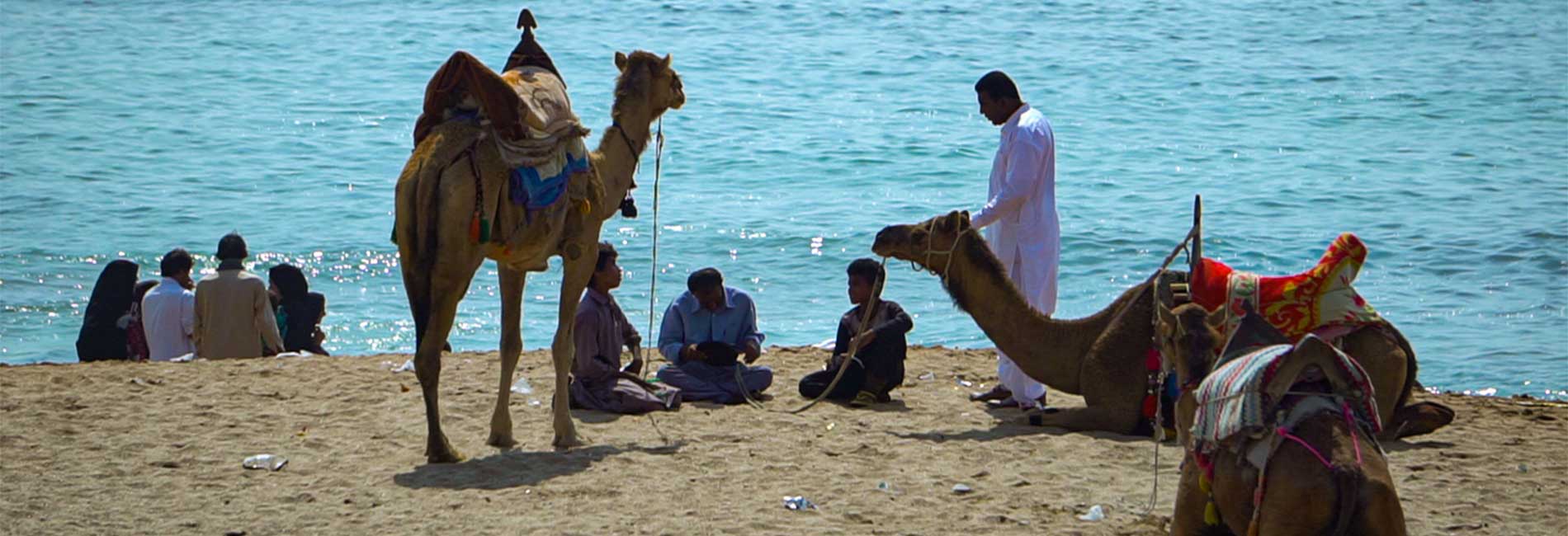 بازگشت به لوگا